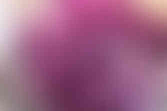 Shredded red cabbage