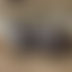 Phönix-Vorstand neu gewählt