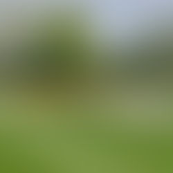 Starke Vorstellung unserer 1. Mannschaft