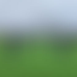 2. Sieg der U11 in Folge