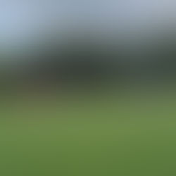 Zweite erfolgreich im dritten Vorbereitungsspiel