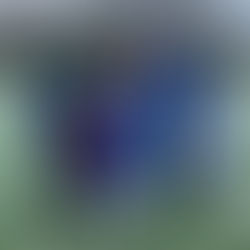 U9-1 dreht Spiel nach 0:2 Rückstand