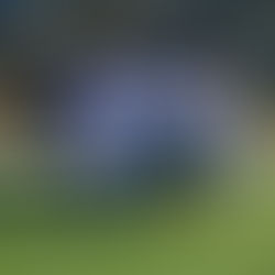 U10-1 mit deutlichem Sieg vor der Winterpause