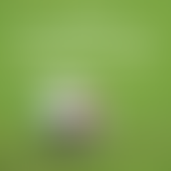 Urteil zum Spielabbruch der Ersten beim SV Istiklal München