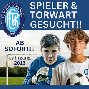 Spieler und Torwart für unsere U13 gesucht!
