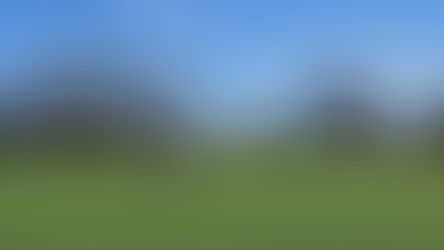 Es reichte nicht ganz!