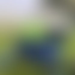 U10-1 verliert knapp nach großem Kampf