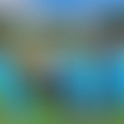 Traumstart der U13 - 3 Spiele, 9 Punkte, 1. Platz