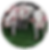 image03.png