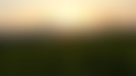 A farmer inspects a rice field as the sun sets behind a suspicious looking mountain.