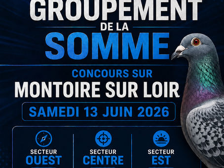 Montoire sur Loir 13/06