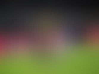 Clássico entre Criciúma
e Avaí pode ter alteração
de data e horário