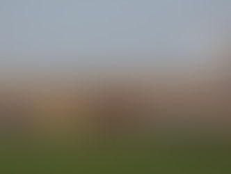 Torcida do Tigre na Ressacada