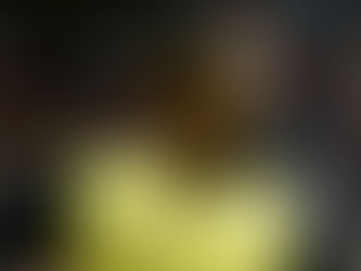 Árbitro Emerson Ricardo de Almeida Andrade