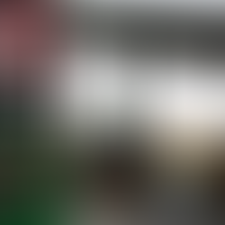 Sheinbaum asegura que la gasolina no subirá de precio en enero de 2026