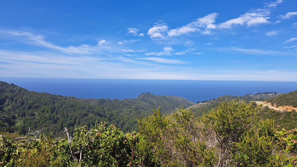 The ocean meeting the sky, a few small fluffy clouds. The view is from green shrub covered mountains which are visible in the foreground.
