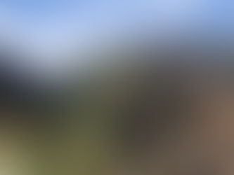 A steep hillside with small shrubbery, the sky a soft blue with wispy clouds.