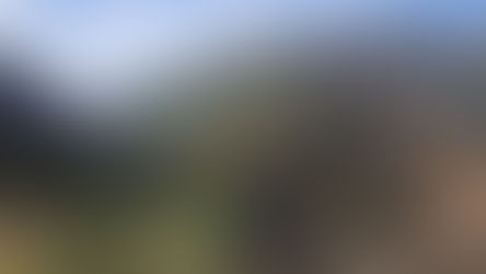 A steep hillside with small shrubbery, the sky a soft blue with wispy clouds.