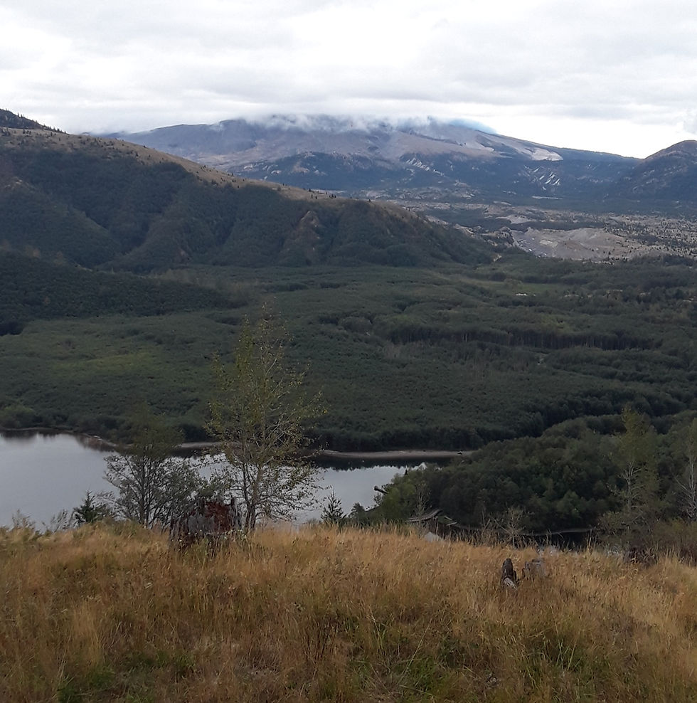 A view of a forested valley with a lake in front left corner of the photo. This picture was taken near Mount Saint Helens on a gray, cloudy day.