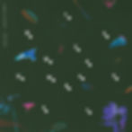 Nenhuma Estrela - 2025