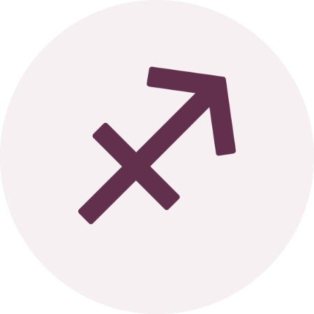 ARIES.webp