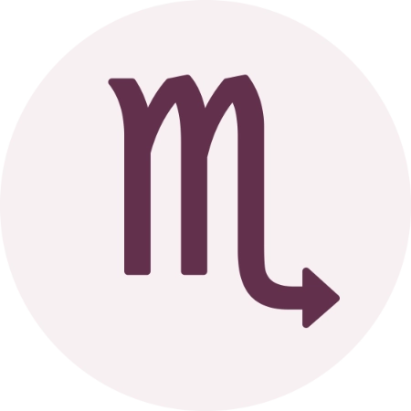 ARIES.webp