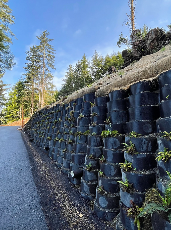 Vegetated retaining wall in Tofino, BC