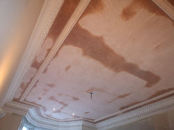 Glasgow West End residence (6)