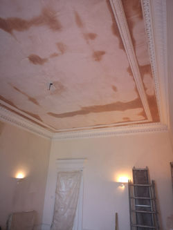 Glasgow West End residence (7)