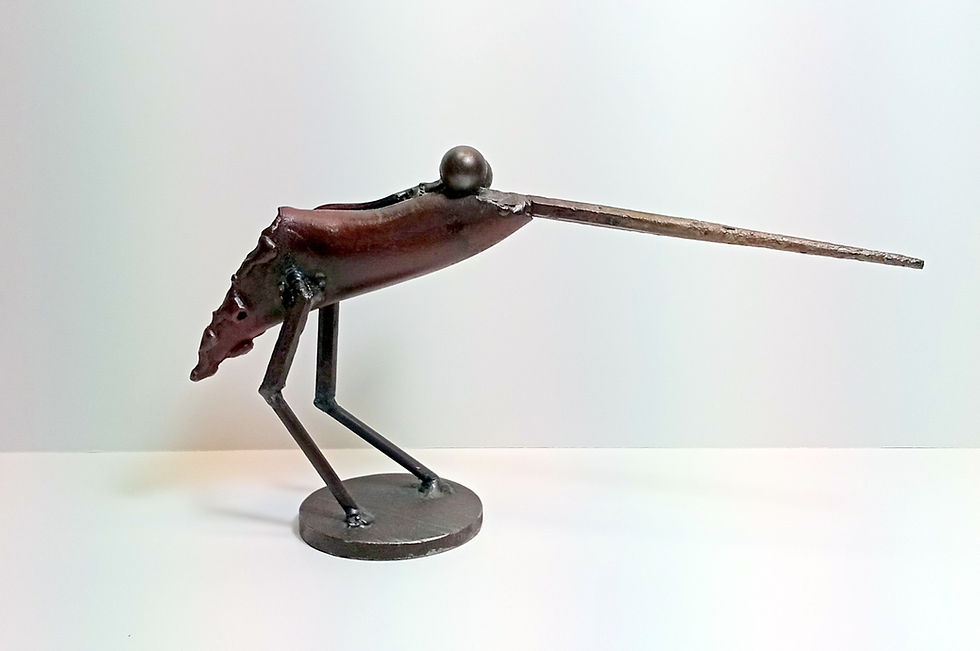 RRCA Things with Wings