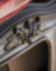 _DSC7552 copie.jpg