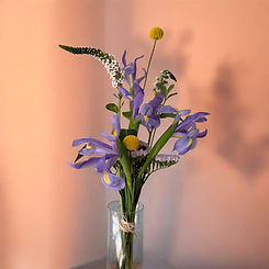 Photoroom_20260609_195146.JPG
