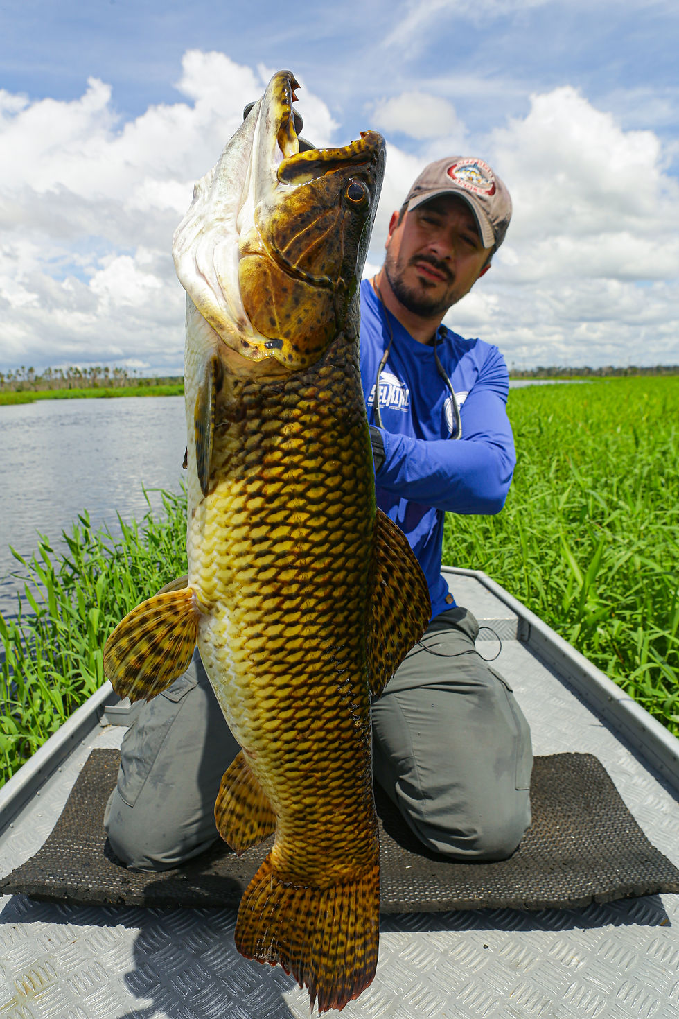 pesca de trairão