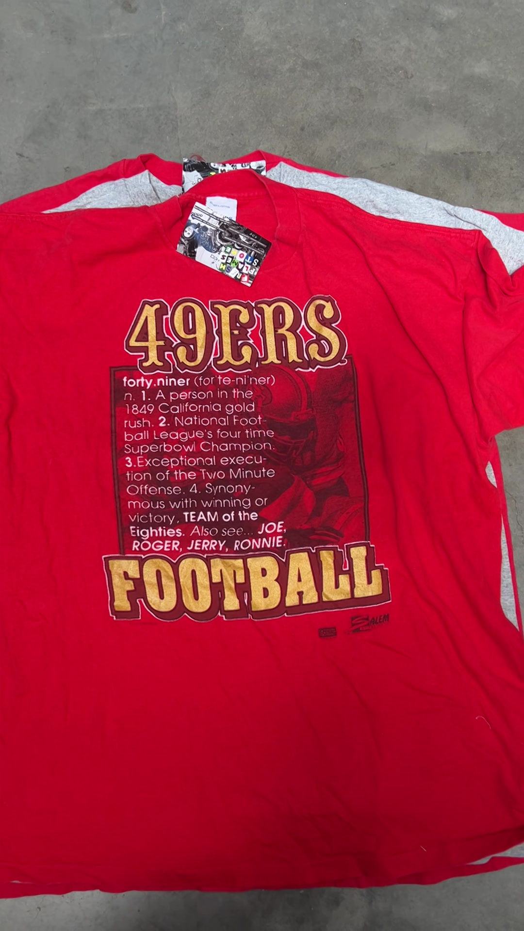 Vintage American Sportswear Tee Shirt Bundle [10 pcs]