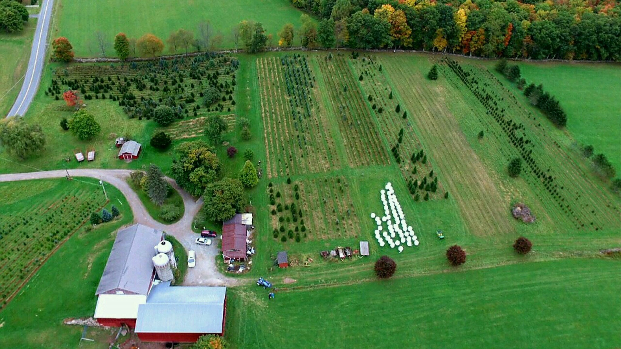 Friendly Acres Farm Christmas trees Cochecton, NY, United States