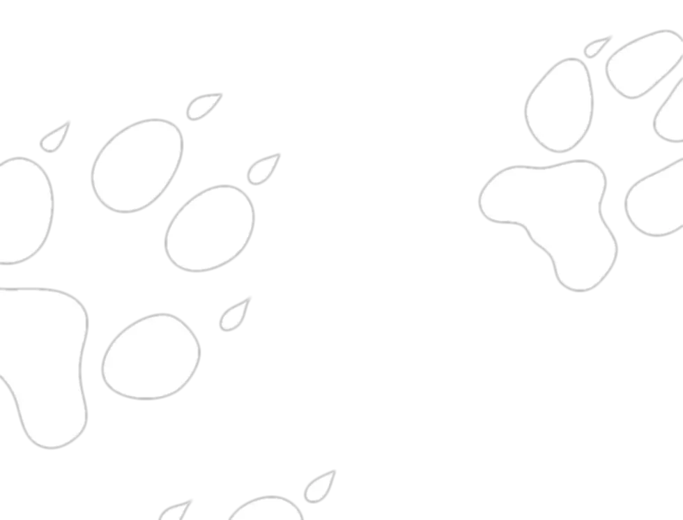 prints-white.webp
