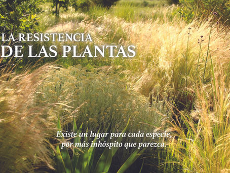 La resistencia de las plantas