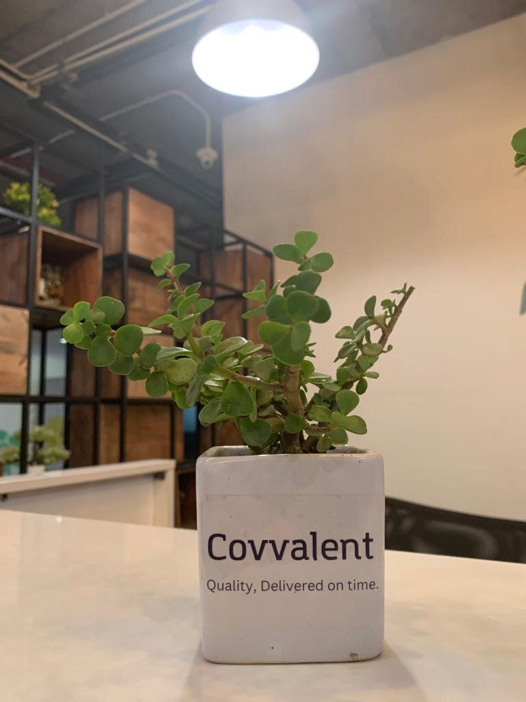 Team Covvalent