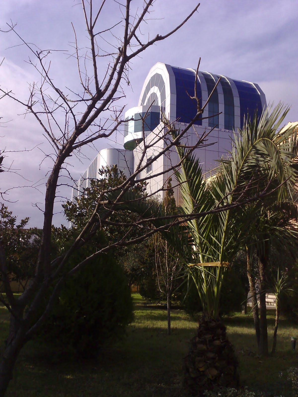 Fotoğraf