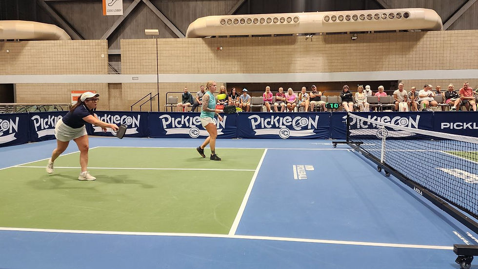 how-it-works-01-event-picklecon-court.jpg