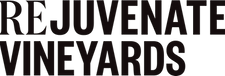 Rejuvenate Vineyards Text