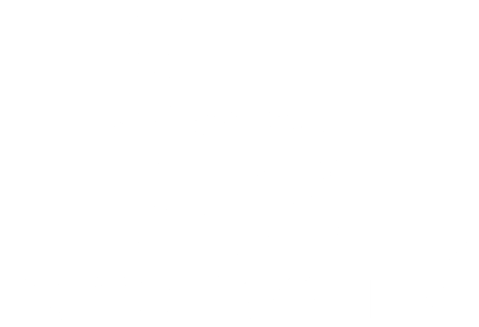 NN_logo_cmyk_pl (002).png