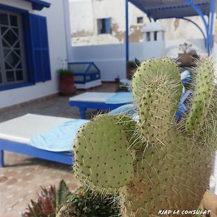 sea view terrace essaouira