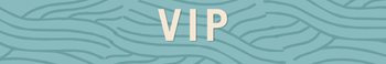 16.png