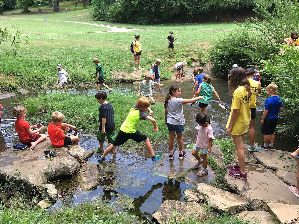 George ward creek copy.jpeg