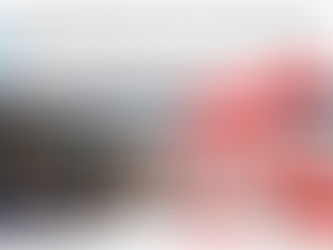 New AMSEA Website Search Feature