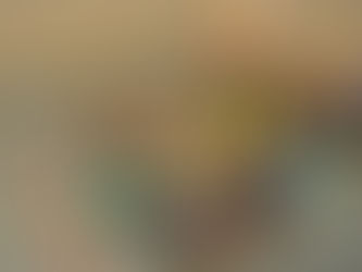 Sitka Outdoor Survival Camp