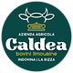 CALDEA logo_Tavola disegno 1 copia.png
