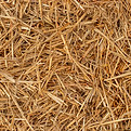 construction paille.jpg
