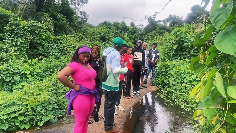 Apara stream